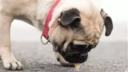 ##IMAGE##