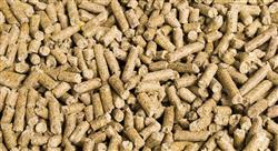 posgrado digestibilidad proteína ideal y avances en nutrición animal