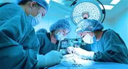 curso manejo de urgencias oftalmológicas en pequeños animales