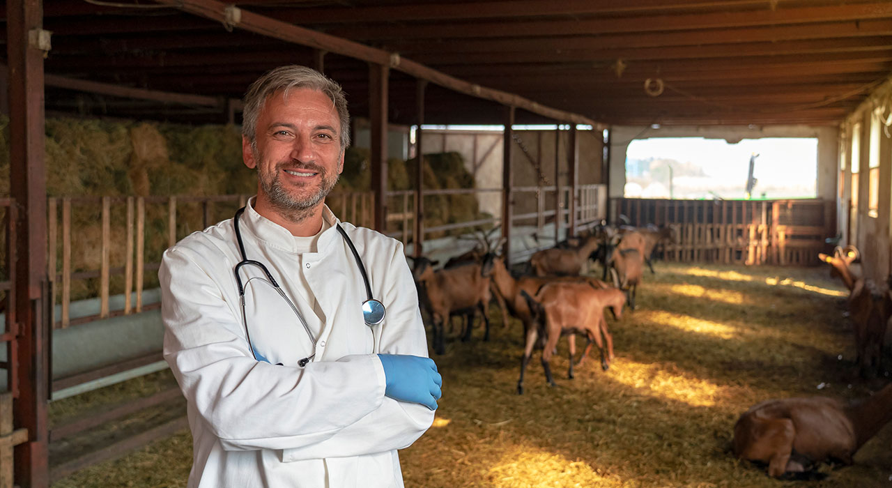 Postgraduate Diploma in Animal Production and Health