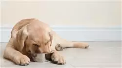 ##IMAGE##