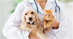 cursos sanidad de perros gatos y otras especies