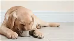 ##IMAGE##