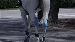 ##IMAGE##