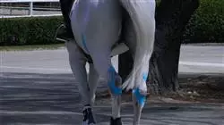 ##IMAGE##