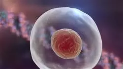##IMAGE##