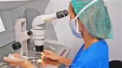 ##IMAGE##