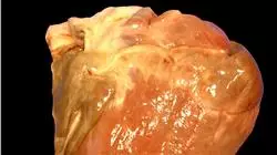 ##IMAGE##