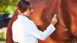 ##IMAGE##