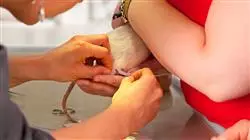 ##IMAGE##
