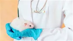 ##IMAGE##