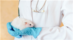 posgrado tratamientos médicos y quirúrgicos en lagomorfos roedores y aves