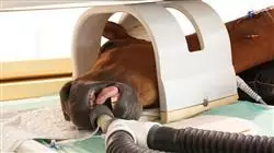 ##IMAGE##