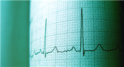 diplomado online pruebas complementarias cardiovasculares no invasivas en especies mayores équidos rumiantes  y suidos