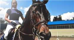curso online respuesta cardíaca al ejercicio  rendimiento deportivo y muerte  súbita en el caballo atleta