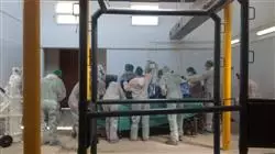 diplomado online artroscopia especies mayores