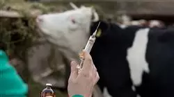 ##IMAGE##