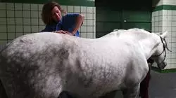 ##IMAGE##