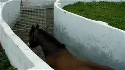 ##IMAGE##
