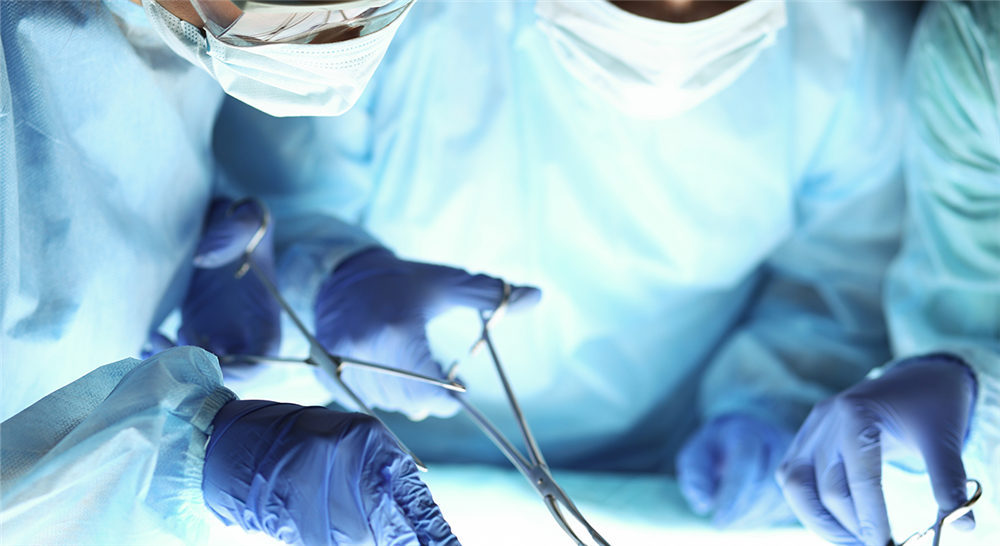 master anestesia y cirugía equina