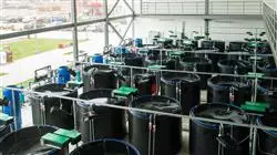 cursos nutricion acuicola