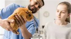 ##IMAGE##
