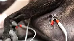 ##IMAGE##