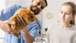 ##IMAGE##