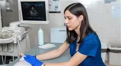 curso cardiopatías adquiridas cardiomiopatías en pequeños animales