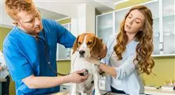 cursos marketing en centros veterinarios
