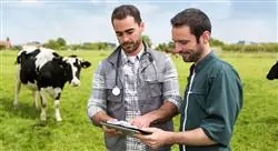 experto economia recursos geneticos vacuno carne lidia sistema extensivo o