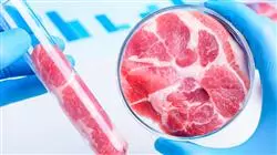 posgrado produccion sanidad porcinos