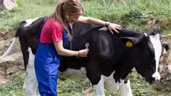 ##IMAGE##