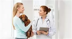 curso online el sector económico de los centros sanitarios veterinarios