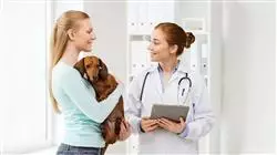 diplomado online sector economico centros sanitarios veterinarios