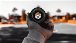 ##IMAGE##