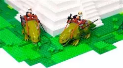 ##IMAGE##