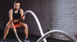 estudiar alto rendimiento deportivo: estadística nutrición y entrenamiento de movilidad