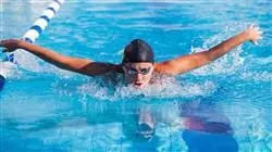 master online nutricion deportiva poblaciones especiales