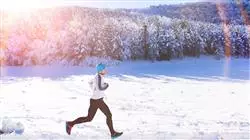 ##IMAGE##
