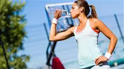 posgrado valoracion nutricional deportista diferentes momentos temporada