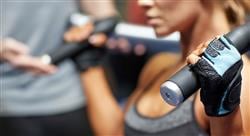 curso entrenamiento de la fuerza en los deportes de media y larga duración