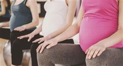 diplomado ejercicio fisico embarazo 4