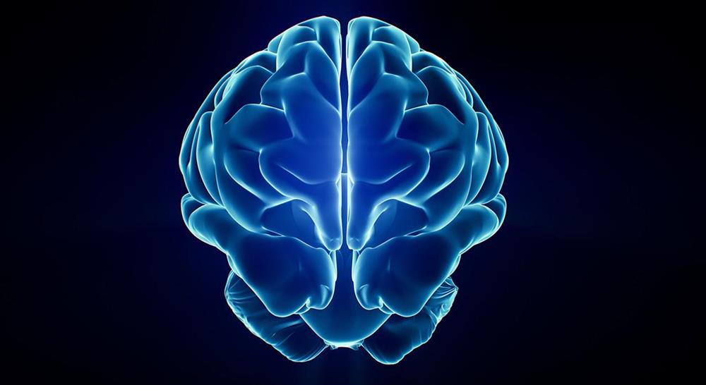 especializacion online emociones en los procesos neuroeducativos desde la acción motriz en el deporte
