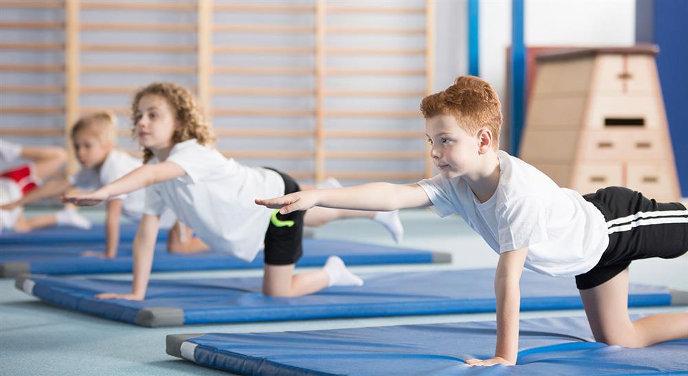 experto universitario emociones en los procesos neuroeducativos desde la acción motriz en el deporte