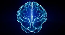 especializacion online emociones en los procesos neuroeducativos desde la acción motriz en el deporte