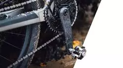 ##IMAGE##