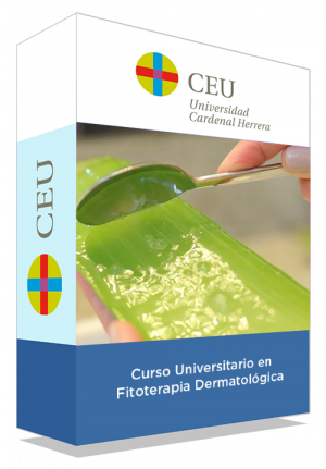 courseInfo