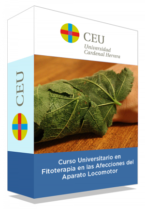 courseInfo
