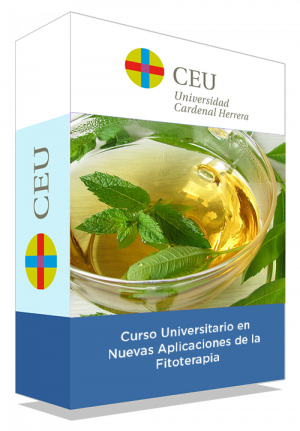 courseInfo